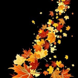 Meet your Posher, Sabrina